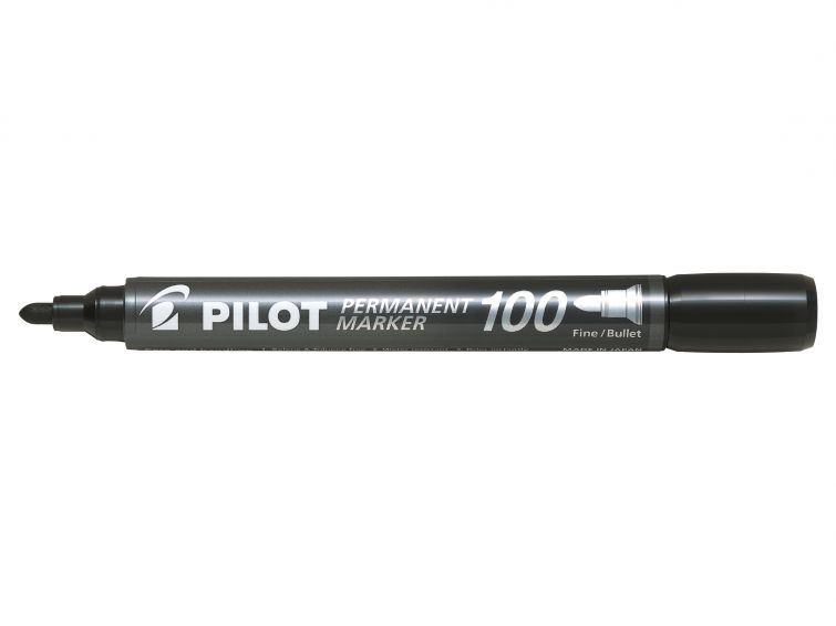 Pilot