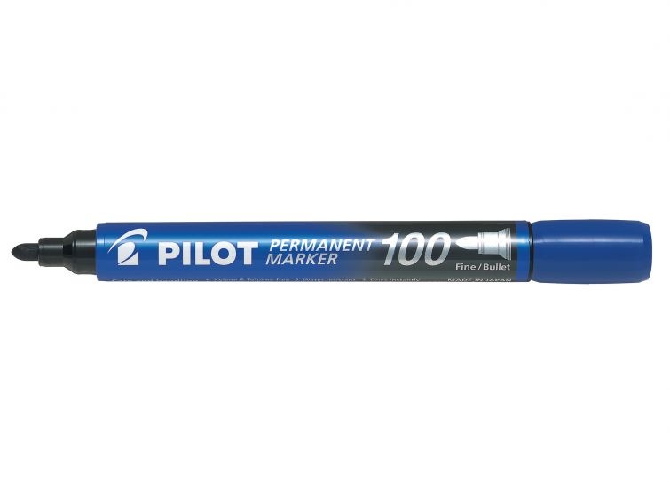 Pilot